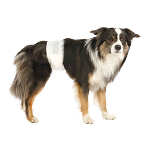 12 Pañales para Perro Macho Talla M-L 46-60 cm, Producto de Pañales para Mascotas - Product Image 1