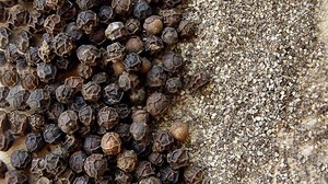 Meilleure Vente – Poivre Noir 100% Naturel Certifié ISO de Qualité Supérieure 550GL – Épice Unique Séchée et Transformée en Poudre - Product Image 3