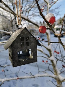 Casa para Pájaros de Hierro Hecha a Mano con Recubrimiento de Polvo Blanco para un Refugio Decorativo y Funcional para Aves - Product Image 3