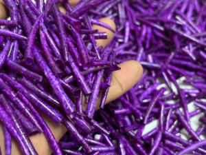 เปลือกหอยเด็นทัลเลียมสีชมพูฟ้าทำมือคุณภาพพรีเมียม ทรงกระบอกเรียวธรรมชาติ สำหรับงานประดิษฐ์เครื่องประดับสไตล์โบโฮ จำหน่ายจำนวนมาก - Product Image 4