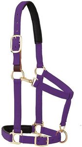 ODM Weaver Equine Breakaway Horse Halter, Comfort <b>Foam</b> <b>Padding</b>, Adjustable Chin & Throat Snap Halters for Horses, Equine - Product Image 3