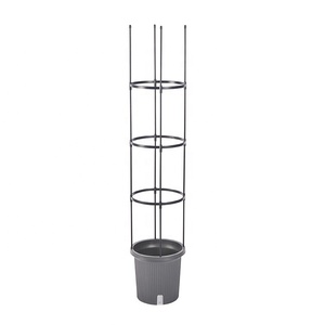 Assembled Garden Plant Support Stakes Vegetable <b>Trellis</b> for Vertical Climbing Plants - Product Image 3
