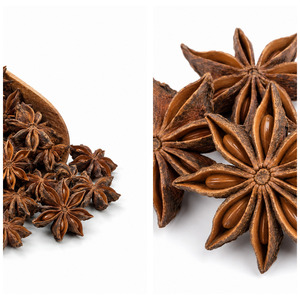 Premium Quality Best Selling Vietnam Manufacturer Supply Wholesale Price Star Anise Customized Packaging - Product Image 3