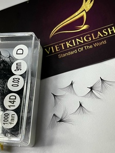 Cils en éventail pré-faits professionnels faits à la main, volume méga, volume complet, 12D 14D 16D 20D, base pointue, fibre PBT coréenne - Product Image 2