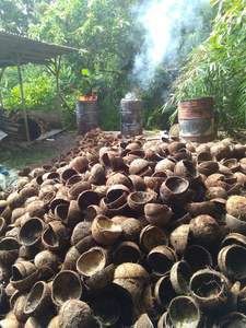 Exportation directe d'usine de tourbe de coco | Tourbe de coco en vrac pour l'agriculture, la culture hydroponique et l'amendement du sol - Product Image 5