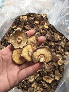 FACTORY PRICE Dried Shiitake Mushroom HOT SELLING Multi-Size 2-5cm 1-2cm Thick Caps Vietnam Origin No Additives Export Standard - Product Image 4