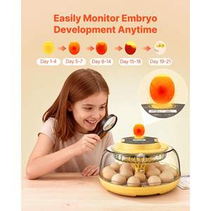 Incubadora de 18 Huevos con Volteo Automático, Control de Temperatura y Humedad, Ventana Transparente de 360 Grados, Recarga Automática de Agua - Product Image 5