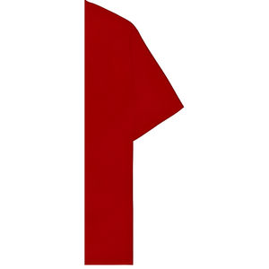 Camiseta Deportiva Ecológica de Algodón Orgánico, Cuello Redondo, Manga Corta, Transpirable, Ligera y de Secado Rápido, con Bordado - Product Image 5