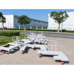 Carro de Plataforma Plateado de Aleación de Aluminio OEM para Transporte de Carga con Recubrimiento en Polvo, 300 kg, 1 Año de Garantía, Vietnam - Product Image 1