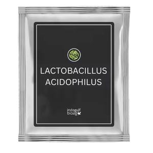 Probiotiques Lactobacillus Acidophilus de la marque IGC, origine Maharashtra - Product Image 1