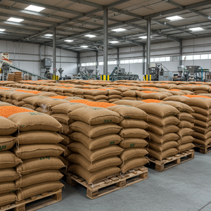 Lentejas Rojas de Calidad de Exportación para Comercio Global y Procesamiento de Alimentos con Lentejas Rojas de Alta Calidad que Mantienen la Pureza Natural - Product Image 1