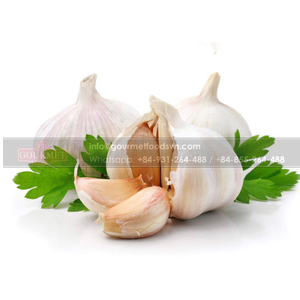 L'ail des légumes du VietNam présente de nombreux avantages pour la santé, en particulier lorsqu'il est consommé cru - Product Image 2