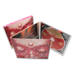 Carpeta para Folletos con Bolsillo, Plantilla Personalizada, Digipak para CD con Estuche Deslizable - Product Image 4