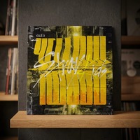 Suministro al por Mayor de Kpop, Álbum Oficial Auténtico Coreano de STRAY KIDS, para Todas las Edades