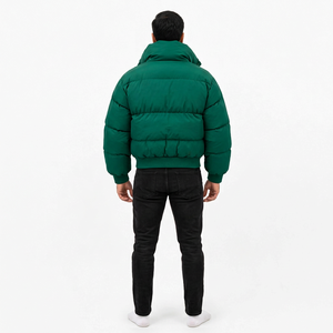 Blouson matelassé vert pour homme, col montant, fermeture éclair, coupe standard, décontracté, hiver, coupe ample, couleur unie, extérieur polyester, à capuche - Product Image 4