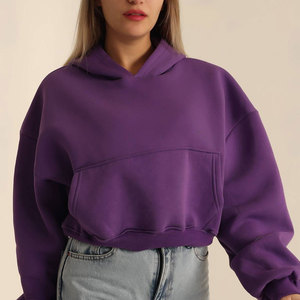 Sudadera con capucha pesada unisex personalizada de fábrica OEM, sudaderas de algodón personalizadas para mujer, sudaderas con capucha oversize de hombro caído - Product Image 4