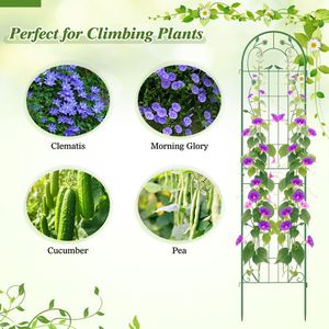 Set di 2 tralicci da giardino in metallo da 86,5 x 20 pollici per piante rampicanti, recinzioni e cancelli - Product Image 5