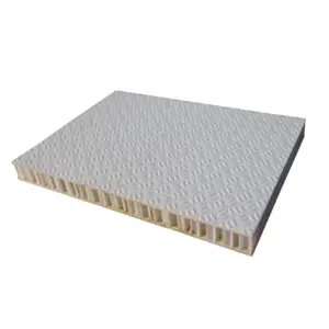 Lembar Serat Kaca Tahan Air Frp POLYCORE Polypropylene Honeycomb Panel Sandwich Terisolasi untuk Dijual