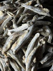 Anchois Séchés IQF Écologiques de Qualité Supérieure en Vrac, Riches en Protéines, Idéaux pour la Cuisson et les Bouillons, Grade A, Prix Export - Product Image 5