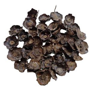 Decoración de Alta Calidad con Capullos de Semillas y Flores Secas, Accesorios Naturales y Exóticos de Coco Seco para Diversos Proyectos de Decoración - Product Image 3