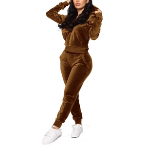 Ensemble de survêtement décontracté en velours pour femme, collection automne-hiver, avec haut à capuche doux à poches et pantalon de jogging ample, tenue de sport deux pièces - Product Image 4