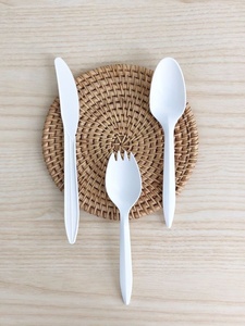 Disposable Spoon for Smoothie Bowls Ice Cream and Outdoor Snack Serving 155mm Spoon Juice Bars Dessert Houses and Catering Spoon - Product Image 1