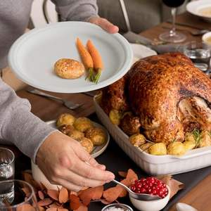 Assiettes en papier 100 % compostables de 10 pouces, résistantes, imperméables, jetables, biodégradables, écologiques, sans danger pour les aliments, en bagasse de canne à sucre - Product Image 3