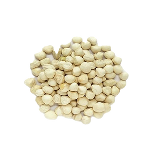Graines de Moringa proposées pour la production en pépinière et la culture commerciale - Product Image 1