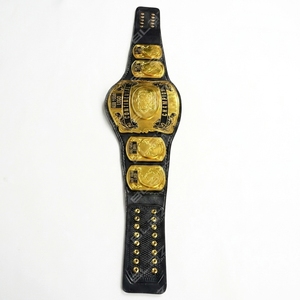 Réplica del Cinturón Continental de AEW, Cinturones de Lujo de Cuero Genuino, Cinturones de Campeonato de Lucha Libre Personalizados y Populares - Product Image 2