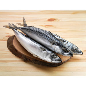 Pescado Caballito de Mar Orgánico Fresco Congelado en Partes, Buen Precio, Empaquetado en Agua, Caballito de Mar del Pacífico Fresco Congelado - Product Image 1