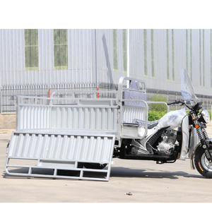 Triciclo de Gasolina de 3 Ruedas para Carga Pesada, Venta Directa de Fábrica OEM - Product Image 4