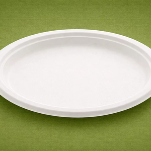 Premium Quality 10-Inch Sugarcane Bagasse Biodegradable Lightweight <b>Disposable</b> Dinnerware <b>Tableware</b> Eco-Friendly for Parties - Product Image 1