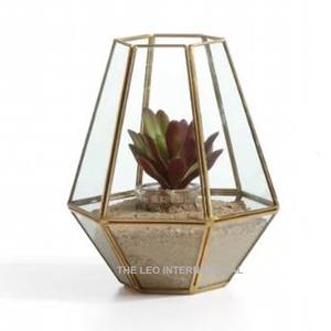 Vente directe d'usine, terrarium à motif solide, prix raisonnable, fabriqué en verre et en fer, design fantastique - Product Image 4
