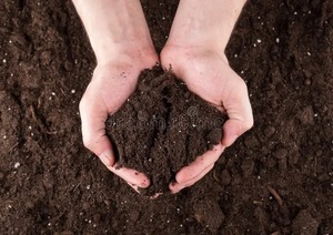 VERMICOMPOST ORGANIC FERTILIZER In Best Quality Product Organic Fertilizer Vermicompost For Plants High Quality Vermicompost - Product Image 1