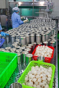 ลิ้นจี่กระป๋องในน้ำเชื่อมเบาๆเขตร้อนมีฉลากส่วนตัวผลิตจากเวียดนาม - Product Image 4