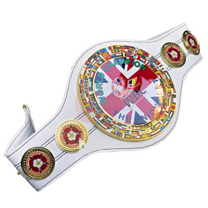 Custom Wrestling Championship Title Belts Wall Hangers All Sizes Colors - Product Image 6