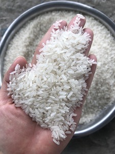 Riz JASMINE Premium, 5% de brisures maximum |   Emballé en paquets de 1 kg, 5 kg, 10 kg PAPE |   Prix direct usine pour l'exportation (J) - Product Image 4
