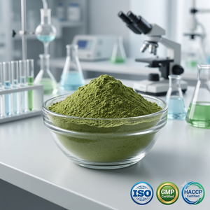 Poudre de basilic sacré de qualité supérieure, poudre d'herbe Tulsi pour les produits de santé ayurvédiques et la fabrication de produits à base de plantes - Product Image 4
