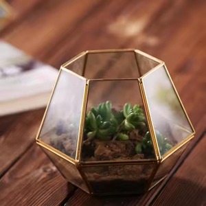 Terrario Geométrico de Metal Premium, Macetero de Vidrio, Caja de Exhibición para Plantas de Interior, Decoración Moderna para el Hogar, Centro de Mesa - Product Image 6