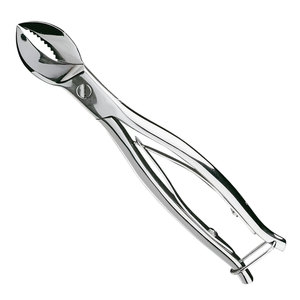 Gips & Hard <b>Plaster</b> Pliers, Length 195 mm with Spring and Lock Dental Laboratory Dental Lab Instrument for Precision <b>Plaster</b> - Product Image 5
