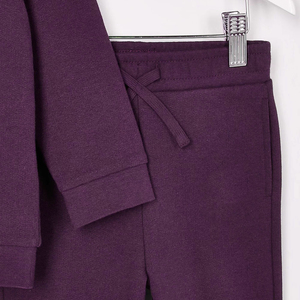 Conjunto Deportivo con Capucha Morado para Bebés Niñas, Manga Larga, Color Sólido, Ropa Casual de Otoño, Pantalones de Algodón con Cintura Elástica, Corte Regular 2027 - Product Image 5
