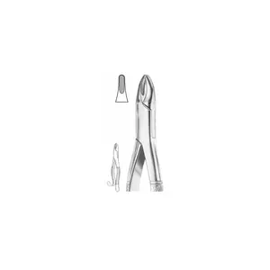 Instrumentos quirúrgicos dentales de patrón americano para extracción de molares superiores y centrales superiores INSTRUMENTOS DE EXTRACCIÓN FOCEPS - Product Image 3