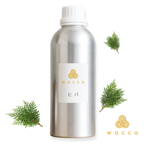 Huile Essentielle de Feuilles Séchées de Thujopsis Dolabrata Wacca Pure, 100% Distillée à la Vapeur, Aromathérapie, Parfum Boisé Balsamique Terrestre, Aomori - Product Image 1
