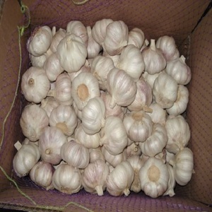 Ail Rouge de Haute Qualité, Ail Blanc Pur 5.0 cm, 6 cm, 5.5 cm, 4.5 cm, 6.0 cm et plus, en Gros, Fournisseur d'Ail - Product Image 1