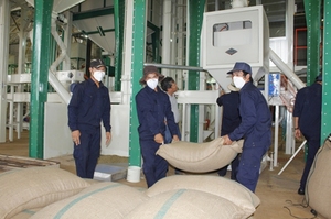 Almidón fino nativo de tapioca, almidón de yuca de proveedor vietnamita, almidón de tapioca de grado alimenticio e industrial-ANNA DO + 84982153058 - Product Image 6