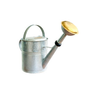 Arrosoir décoratif vintage en métal galvanisé, petit pot de fleurs en étain, accessoire de jardin pour poupées d'extérieur, décoration de fête, bon prix - Product Image 3