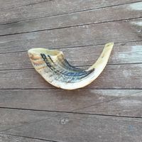 Shofar artisanal en corne de bélier pour la fête de Rosh Hashanah, shofar authentique en corne de bélier, corne de prière pour les fêtes juives par Curio Craft