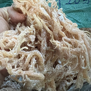 สาหร่ายทะเลเวียดนามคุณภาพสูงสำหรับการแปรรูปอาหารอุตสาหกรรมและการจัดหาสาหร่ายแห้งขายส่งจาก 99 โกลด์ ดาต้า - Product Image 2