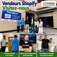 Agent de Dropshipping Shopify en Suisse |   Aucun MOQ, support de marque privée, entrepôt 3PL en Chine