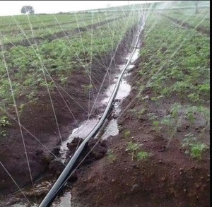 JIVANDHARA IRRIGATION Tubería Plana de Riego por Goteo de Polietileno Negro de 100m para Agricultura Moderna, Granjas, Césped e Invernaderos - Product Image 4